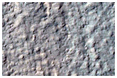 Gully Frost Monitoring
