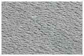 Monitoring Evolution of North Polar Residual Cap
