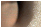North Polar Dunes
