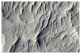 Rings in Schiaparelli Crater
