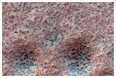 Volatiles and Gullies
