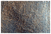 Thermally Distinct Terrains in Northern Plains
