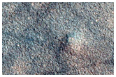 Northern Plains Terrain Sample
