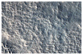 Possible Gullies on Mesa Wall in Mareotis Fossae
