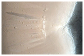 Tractus Fossae
