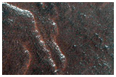 Gullied Crater Wall
