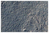 Possible Gullies
