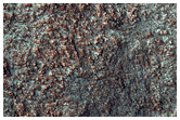 Gullies in Western Nereidum Montes
