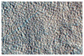 Fingerprint Terrain in Northern Lowlands
