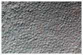 Mantled Terrain in Southern Hemisphere Crater
