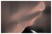 Dune Gully Monitoring
