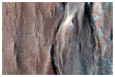 Gullies

