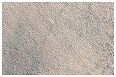 Sampling a Mid-Latitude Pitted Cone in Western Acidalia Planitia
