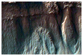 Gullies and Layers in a Trough Near Mariner Crater
