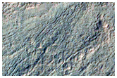 Monitor Gully Activity in Corozal Crater
