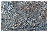 Western Hellas Planitia
