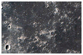 Monitoring New Impact Site
