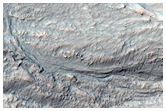 Gullies in Crater in Terra Sirenum
