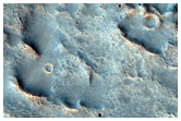 Craters in a Potential Sedimentary Plain in Libya Montes
