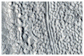 Lineated and Flowing Terrain in Protonilus Mensae

