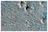 Terrain Sample in Chryse Planitia
