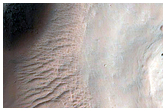 Gully Monitoring
