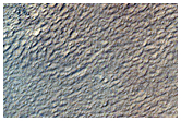 Possible Gullies in Crater
