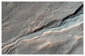 Frosted Gullies
