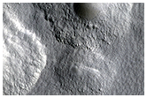 Double Depressions or Expanded Craters on the Northern Plains