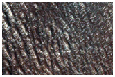 Scarp in Hellas Planitia
