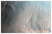 Well-Preserved 4-Kilometer Impact Crater
