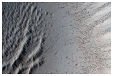 Well-Preserved Crater on Lava Fields
