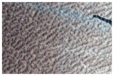 Gigas Fossae
