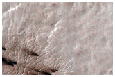 Monitor Seasonal Changes at a South Polar Cracked and Gullied Site
