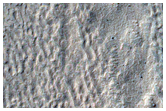Small Scale Features
