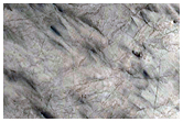 Fan-Like Deposit

