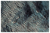 Dune Field
