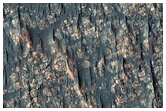 Outcrops on Crater Floor in Southern Highlands
