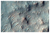 Narrow Gullies on Escarpment Wall
