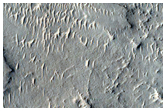 Possible Hydrated Minerals in Meridiani Planum
