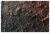 Possible Olivine-Rich Terrain in Argyre Planitia
