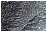 Possible Fe-Mg Clays in Terra Sirenum
