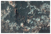 Possible Inverted Stream Channels Near Mariner Crater
