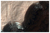 Volatiles and Gullies in Asimov Crater
