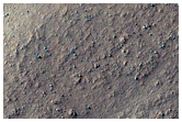 Gullies in Western Nereidum Montes

