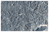 Rocky Ground
