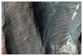 Layered Bedrock on Crater Floor

