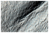 Viscous Flow Feature
