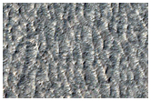 Surface of Lobate Debris Apron East of Hellas Region
