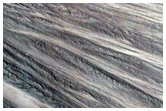 Gullies
